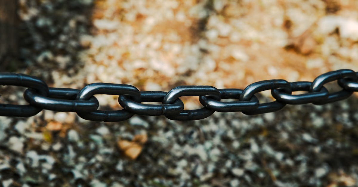 découvrez les essentiels du link building pour améliorer le référencement de votre site web et augmenter sa visibilité sur les moteurs de recherche.