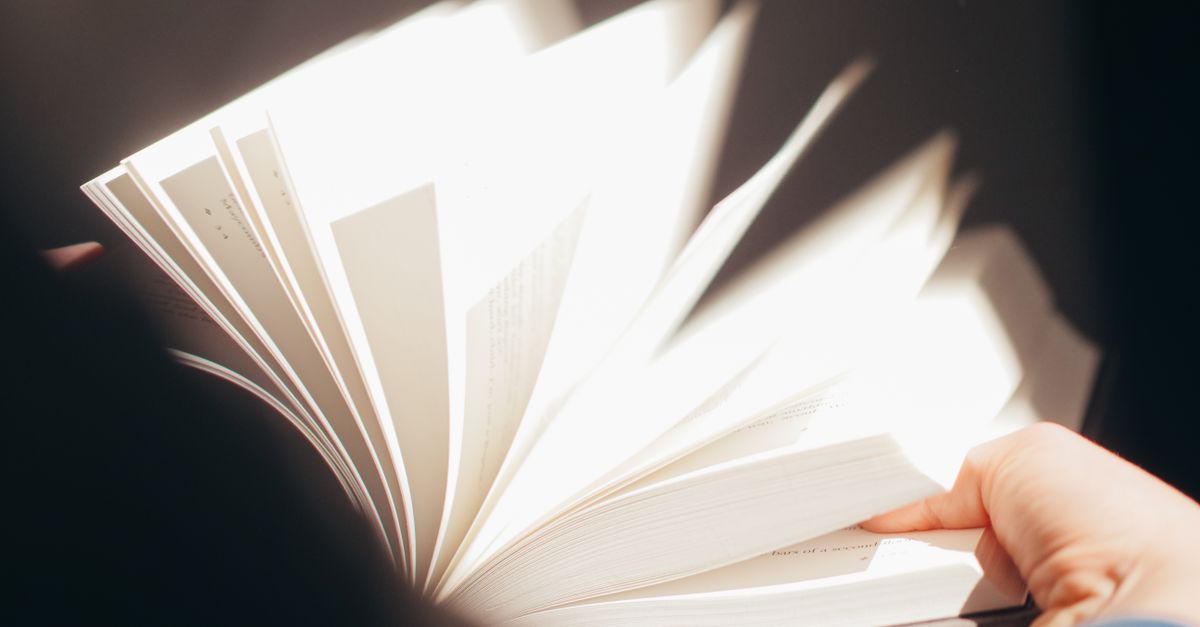 Comment résoudre efficacement le problème des pages non indexées : guide des meilleures pratiques