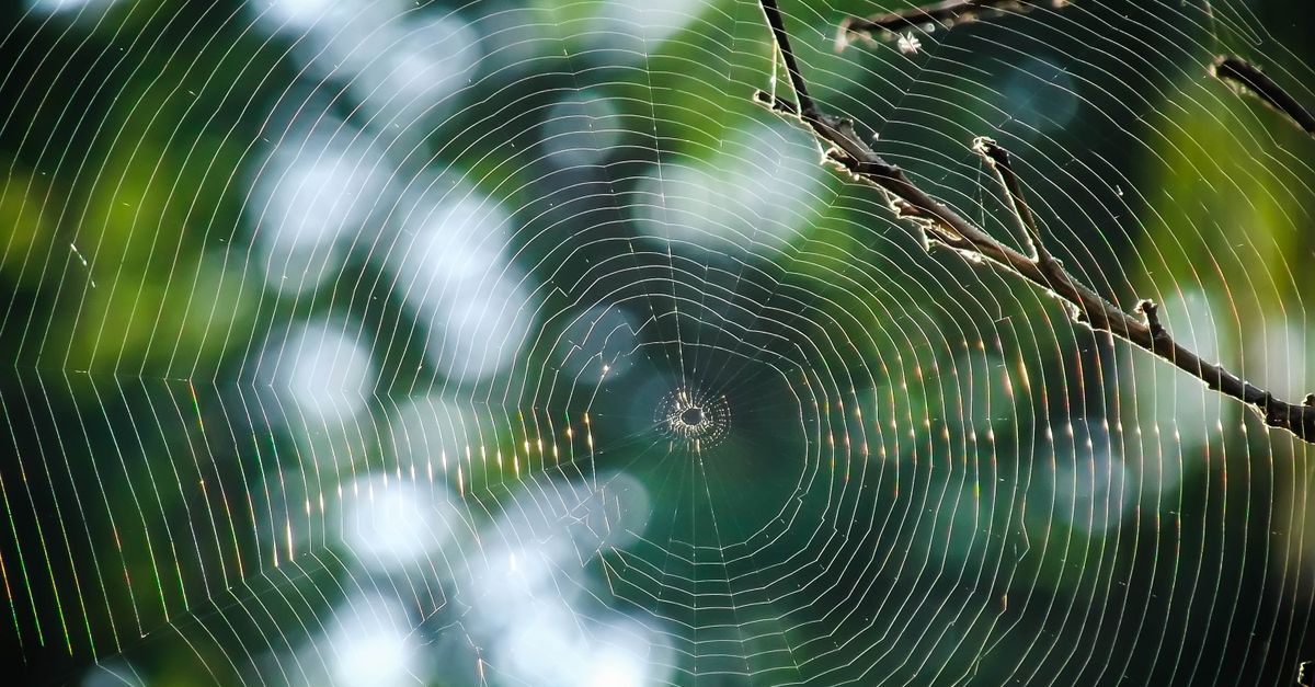 découvrez les principes essentiels de l'architecture web pour concevoir des sites performants, évolutifs et sécurisés.
